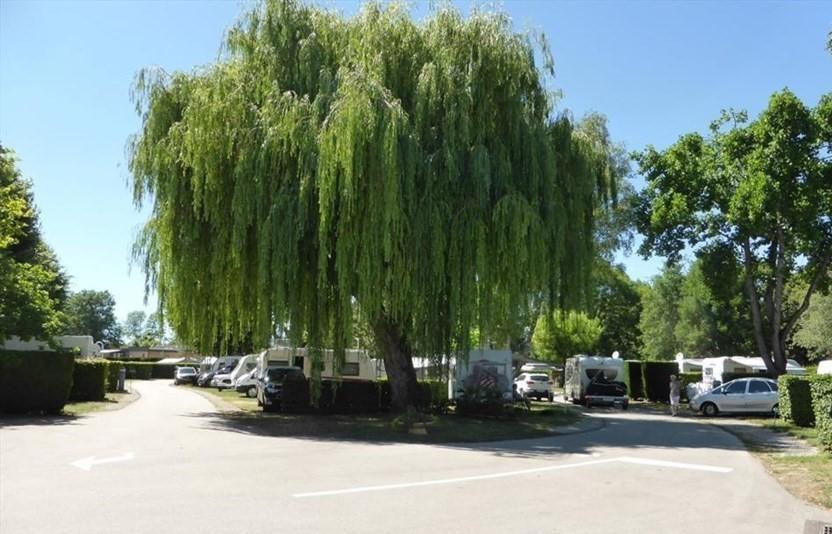 Camping Du Paquier Fane Chagny  Dış mekan fotoğraf